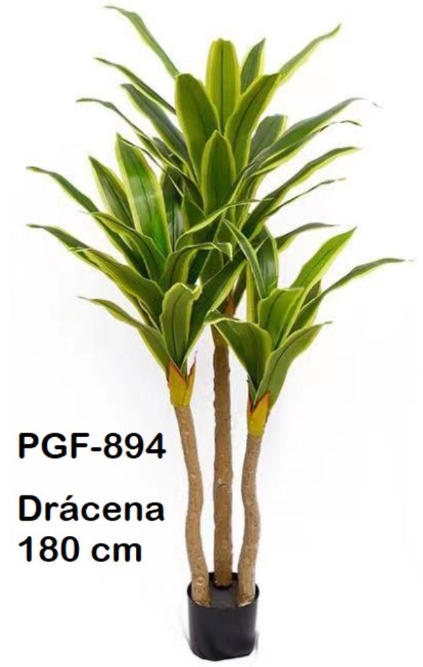 DRACENA TRONCO DE BRASIL BICOLOR 180cm • Mundoplan