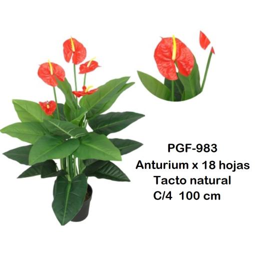 PLANTA ANTURIUM h.100cm